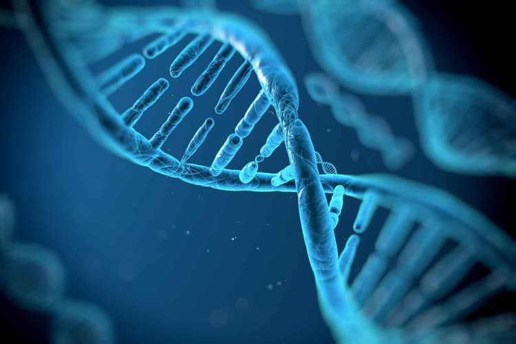 Genetic Engineering