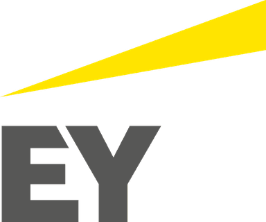 Company Logo 2